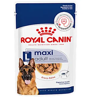 royal canin maxi adult gravy