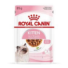 royal canin kitten gravy