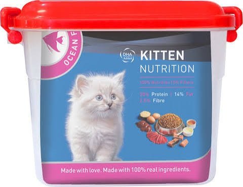 Drools kitten ocean fish